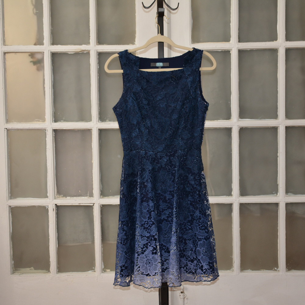 Eva Franco Lace Dress